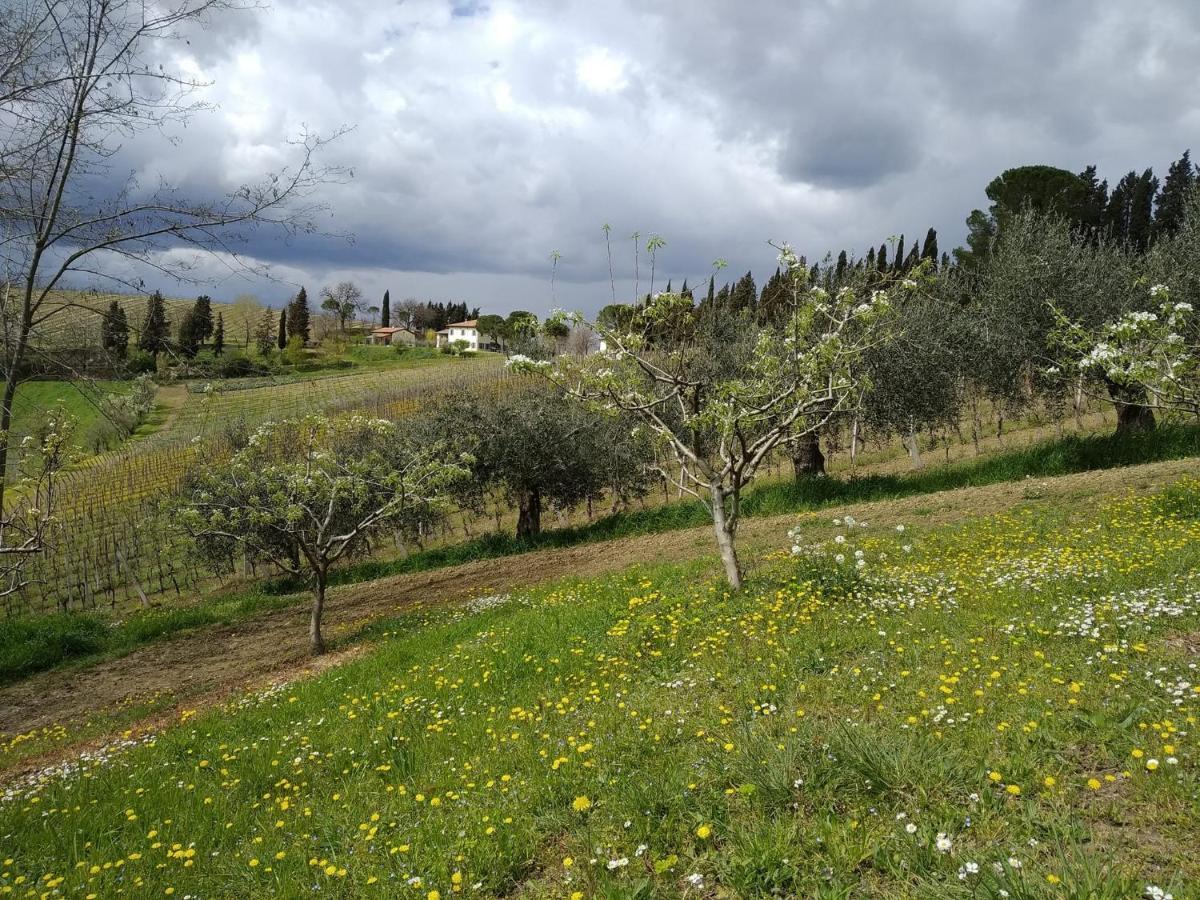 Agriturismo Ca'De'Gatti 파엔차 외부 사진