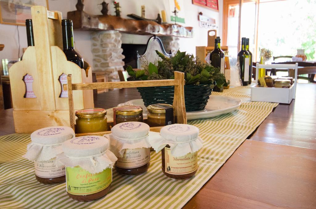 Agriturismo Ca'De'Gatti 파엔차 외부 사진