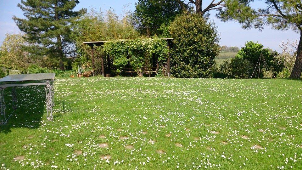 Agriturismo Ca'De'Gatti 파엔차 외부 사진