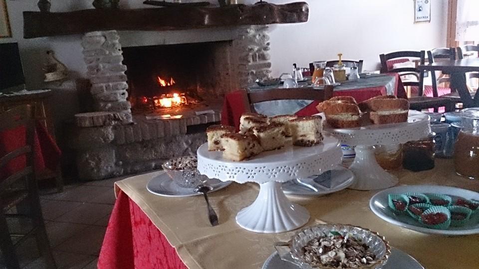 Agriturismo Ca'De'Gatti 파엔차 외부 사진