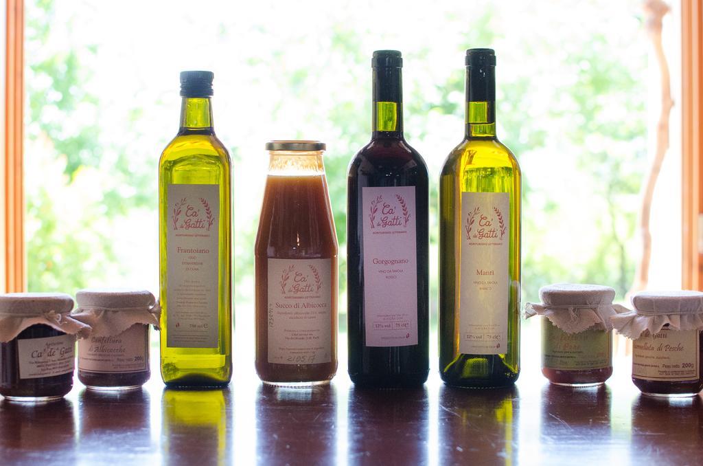 Agriturismo Ca'De'Gatti 파엔차 외부 사진