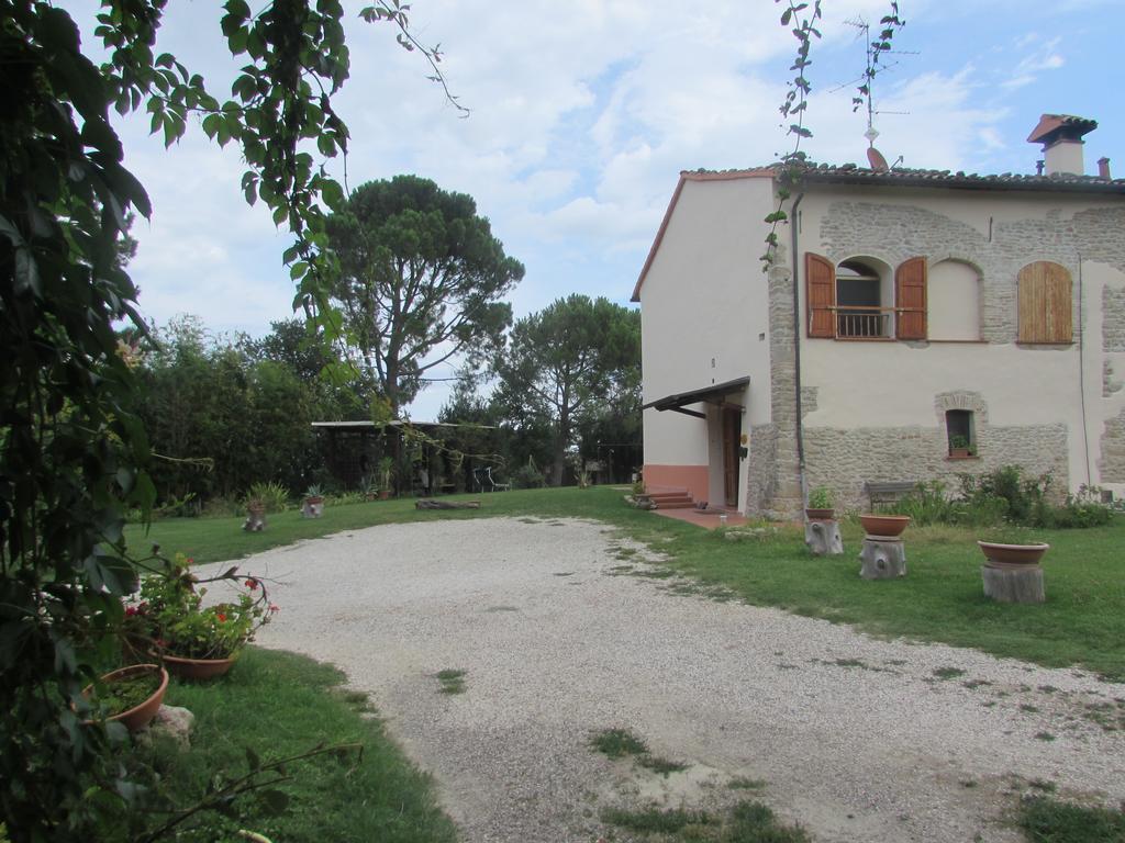 Agriturismo Ca'De'Gatti 파엔차 외부 사진