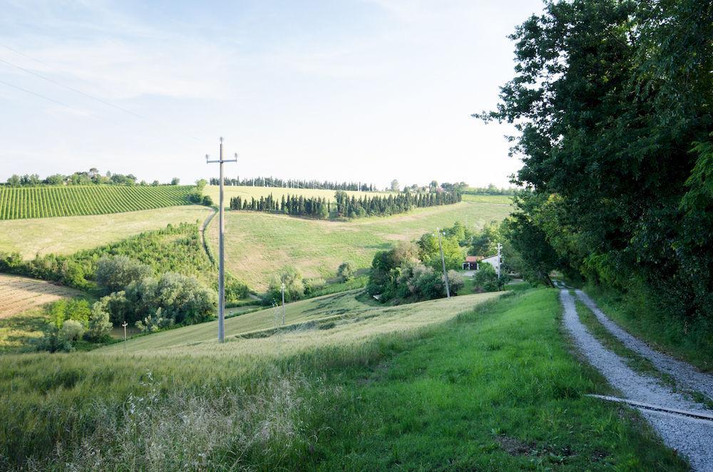 Agriturismo Ca'De'Gatti 파엔차 외부 사진